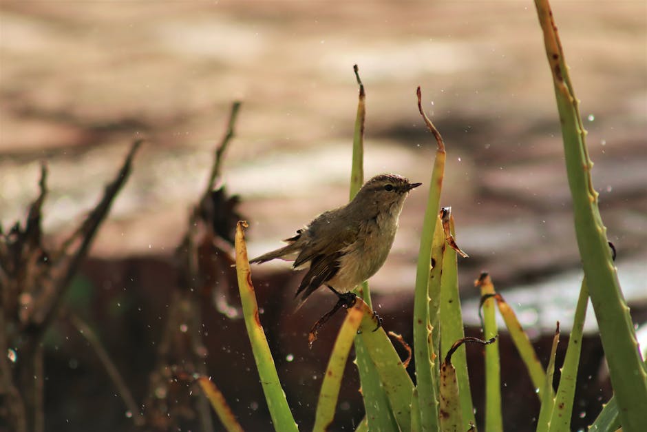 Bird on natural flora